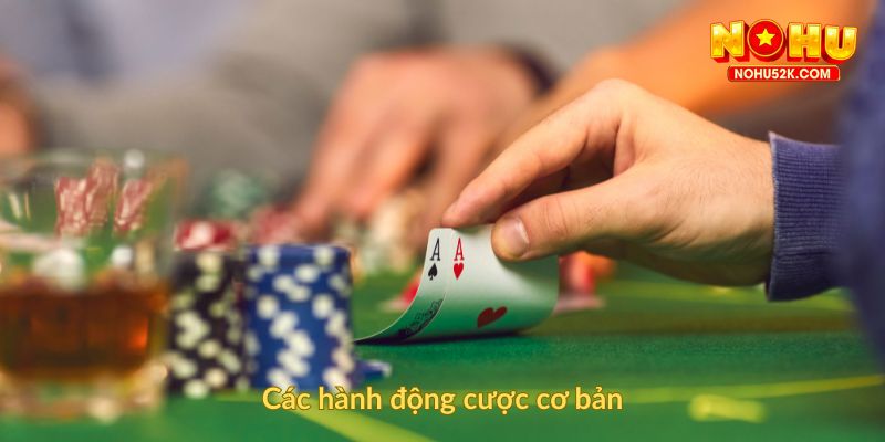 Các hành động cược cơ bản