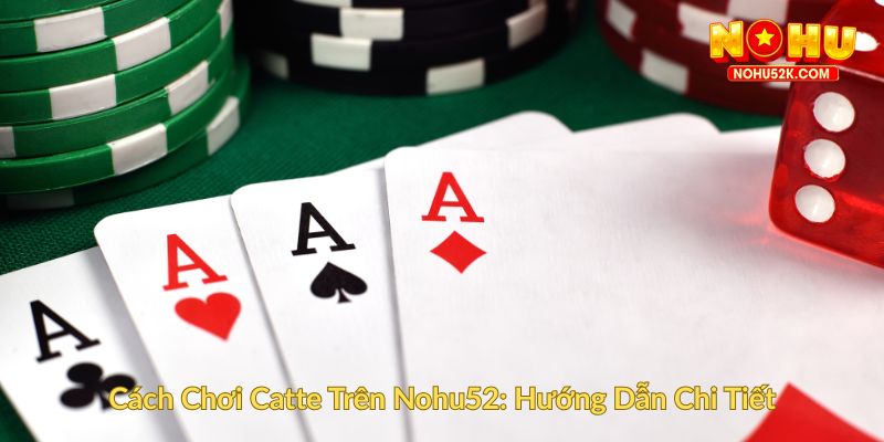Cách Chơi Catte Trên Nohu52 Hướng Dẫn Chi Tiết