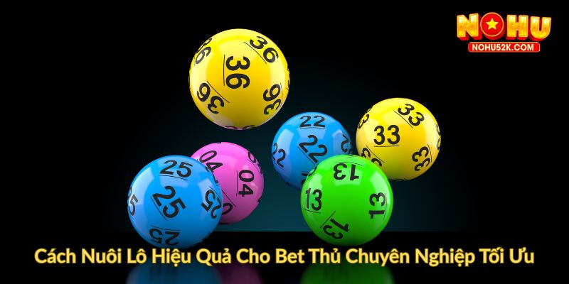 Cách Nuôi Lô Hiệu Quả Cho Bet Thủ Chuyên Nghiệp Tối Ưu
