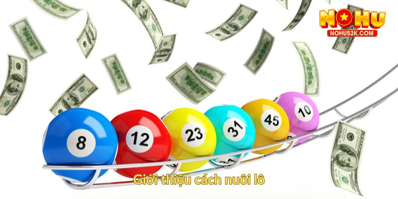 Giới thiệu cách nuôi lô