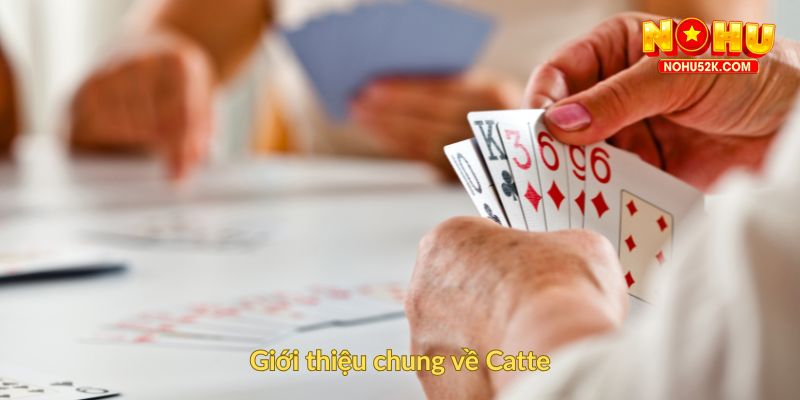 Giới thiệu chung về Catte