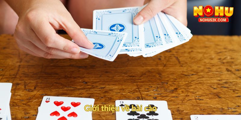Giới thiệu về bài cào