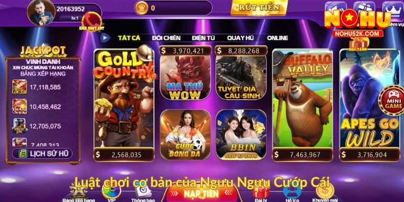 Luật chơi cơ bản của Ngưu Ngưu Cướp Cái