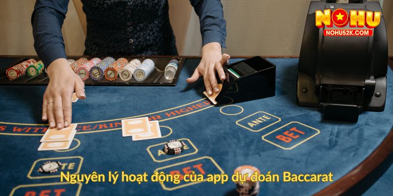 Nguyên lý hoạt động của app dự đoán Baccarat