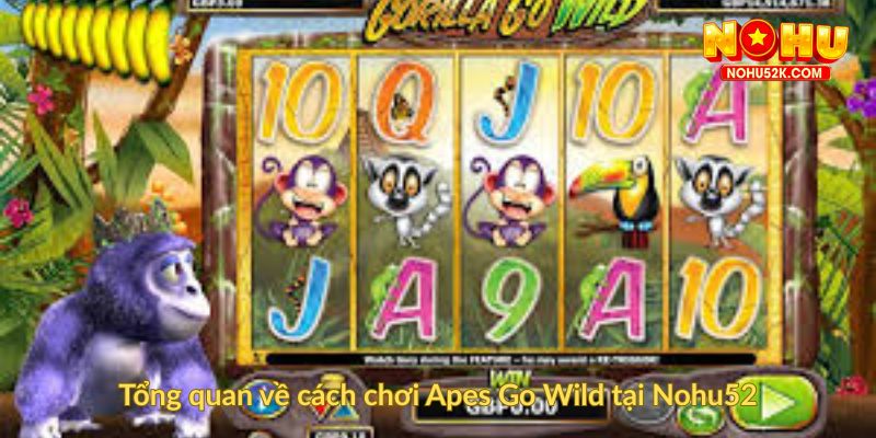 Tổng quan về cách chơi Apes Go Wild tại Nohu52